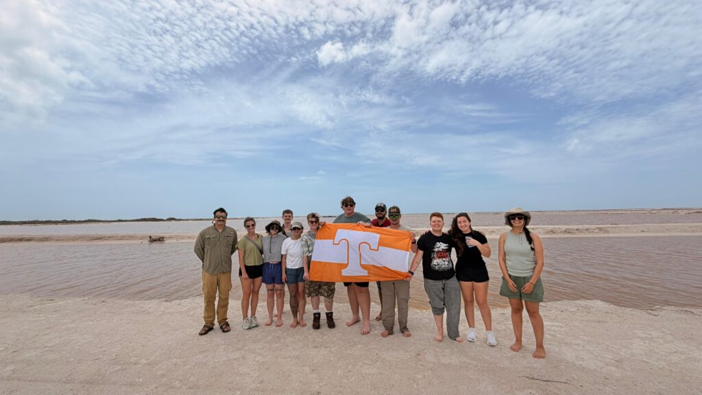 A group of people holding an orange flag on a beach.
