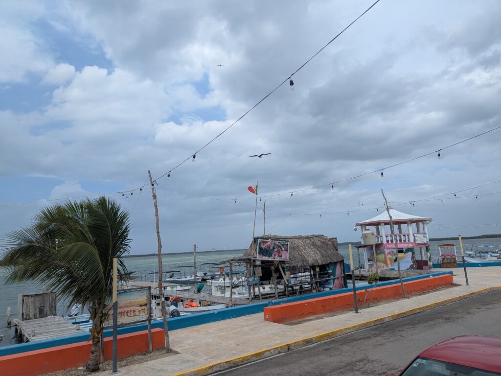 Boats docked on the coast.
