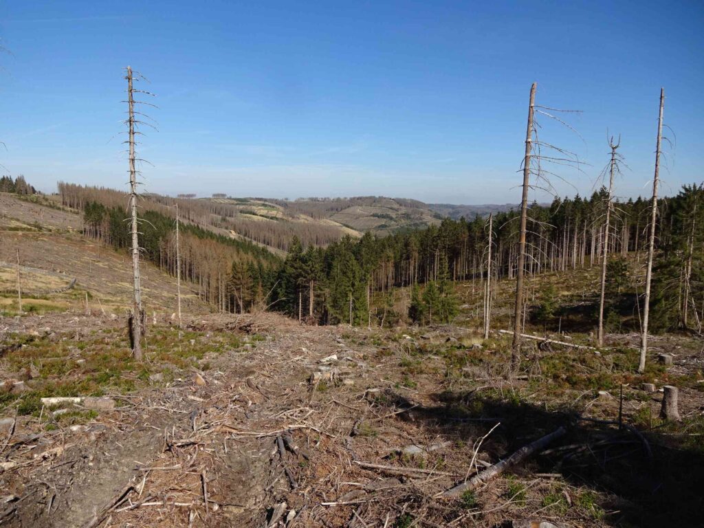 The Harz Mountains