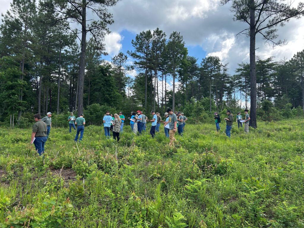 Several students walk through a field with trees in the background.