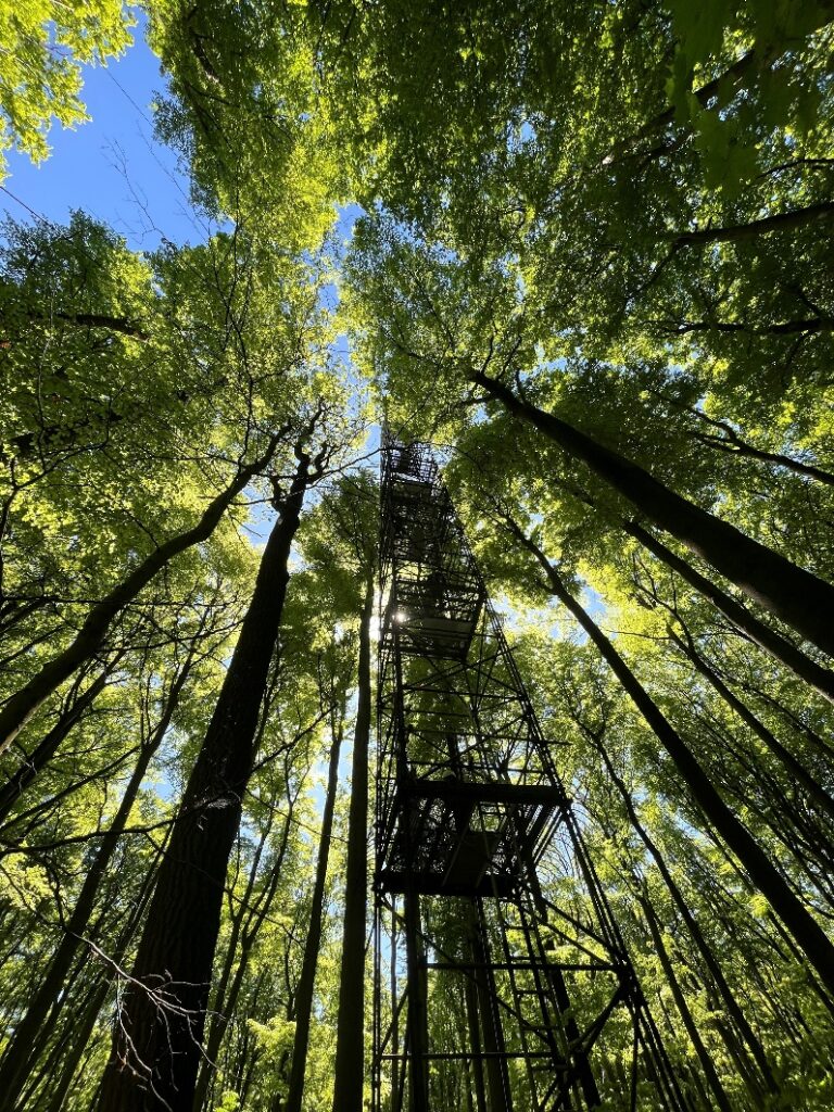 Climate tower at Göttingen forest.