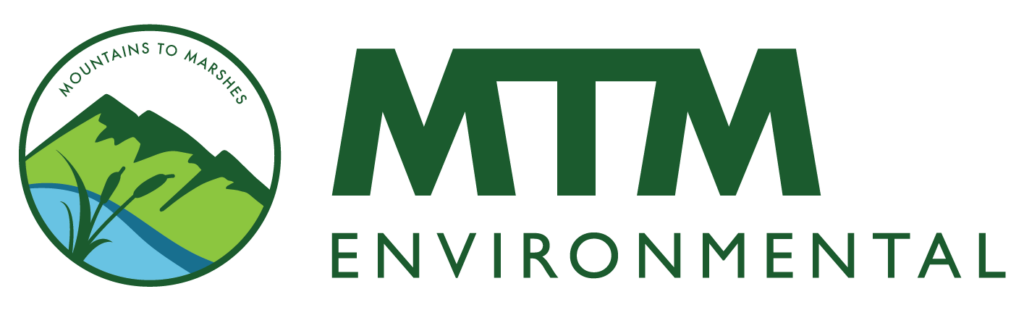 MTM Environmental logo with graphic of mountains and stream