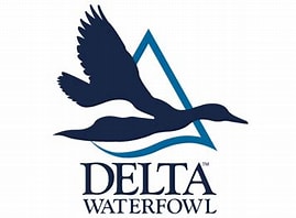 Delta Waterfowl logo with image of two ducks and a triangle.