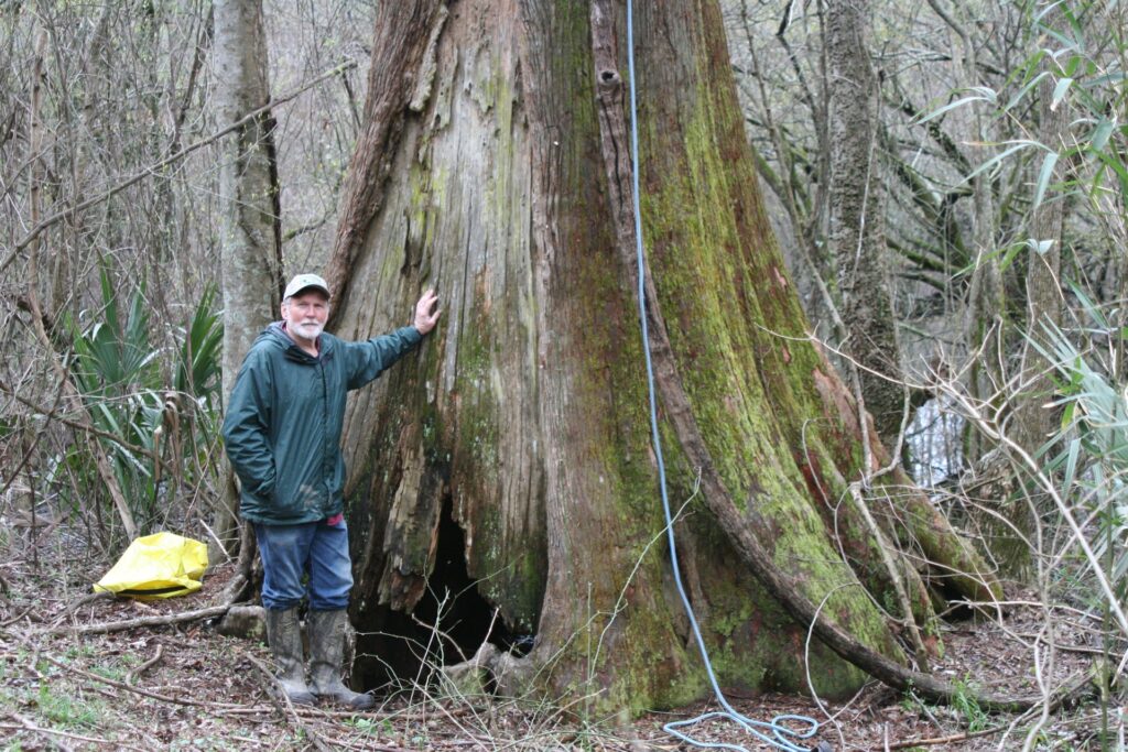 A person wearing a green raincoat leans a hand against a tall tree.