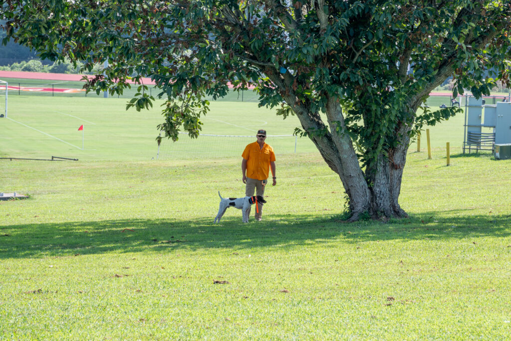 A person looks at a dog near a tree on Maryville College campus.