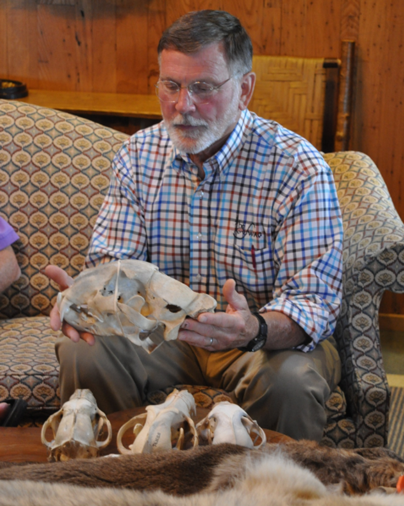 A person wearing glasses and a collared shirt holds a bear skull while sitting on a couch.