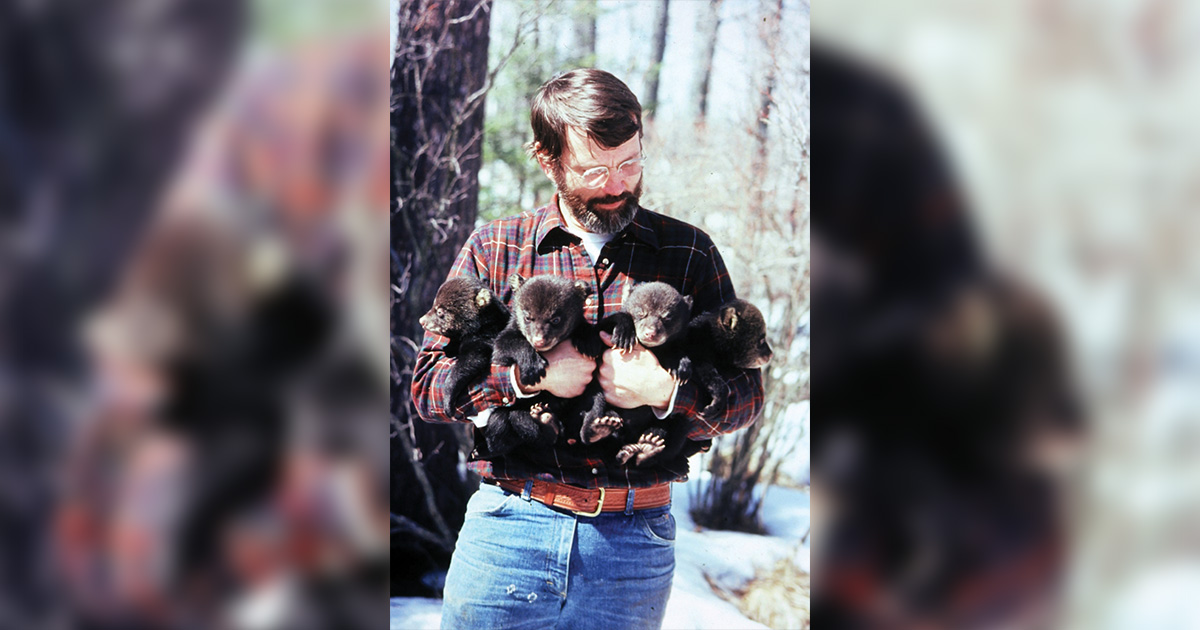 Person wearing flannel shirt holds four bear cubs in the woods.