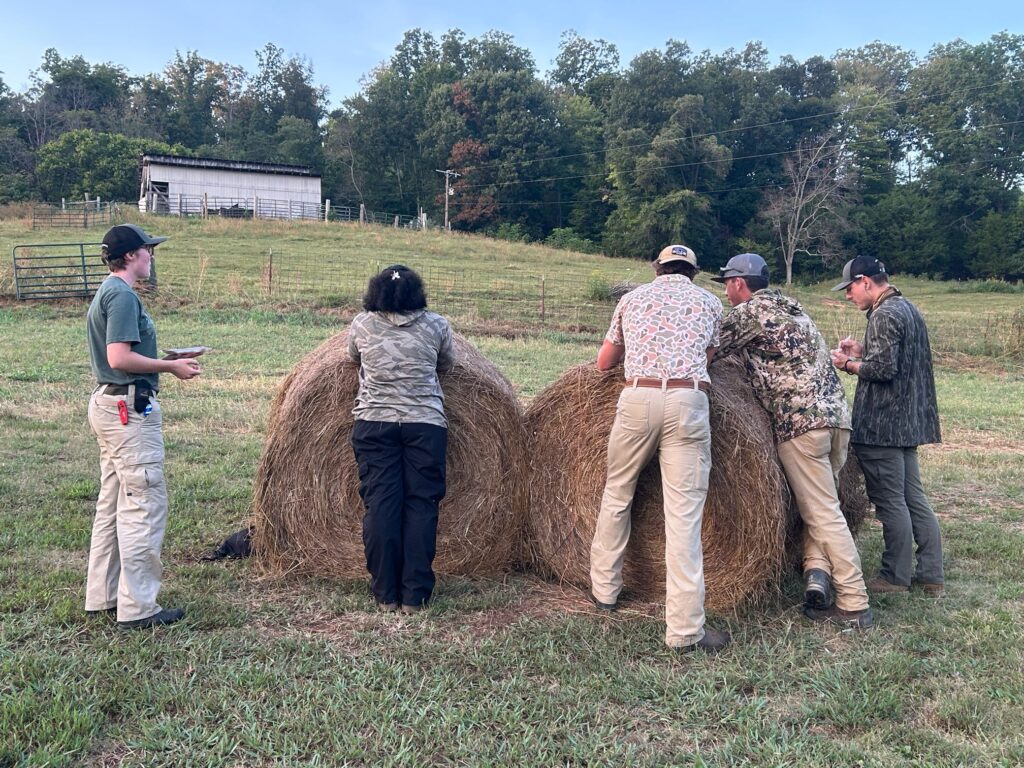 Five people stand around two hay bales.