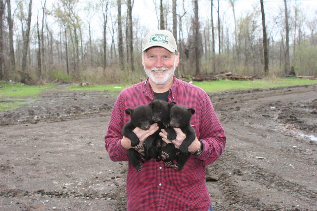 A person wearing a cap and red shirt holds three bear cubs in front of a field and trees.