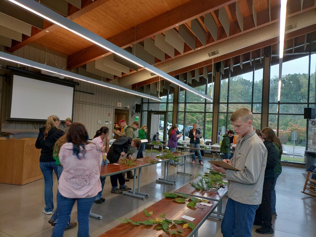 Several people hold clipboards and look at leaves on tables inside the UT Arboretum Auditorium.