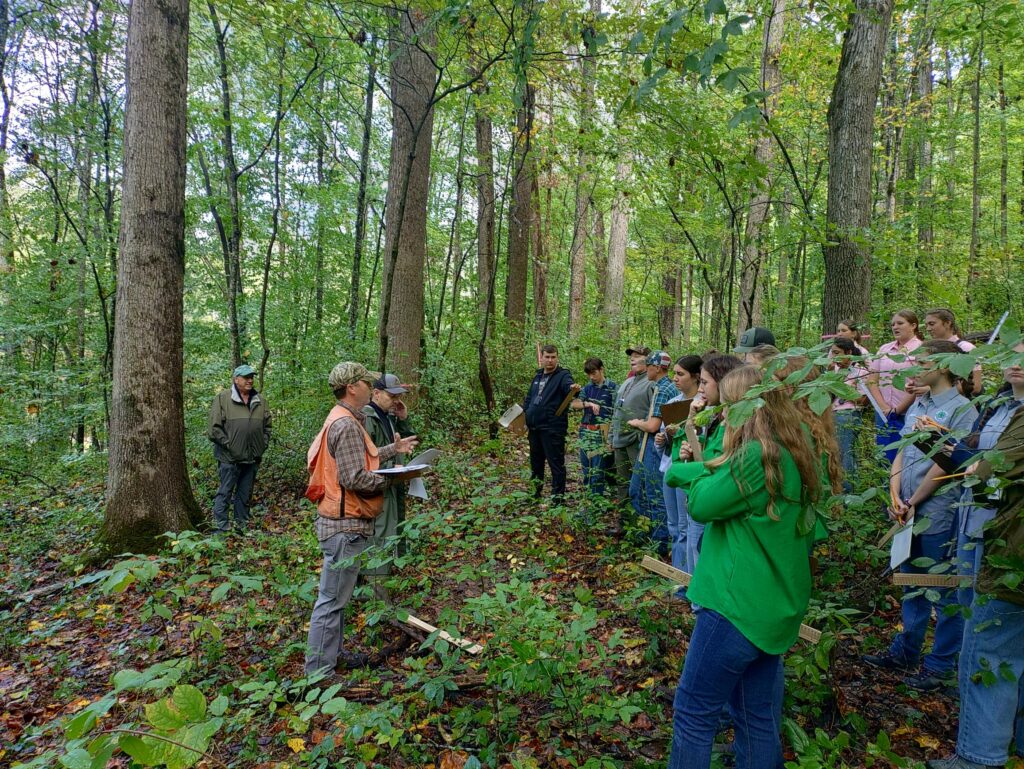 Several people stand in the woods at the UT Arboretum.
