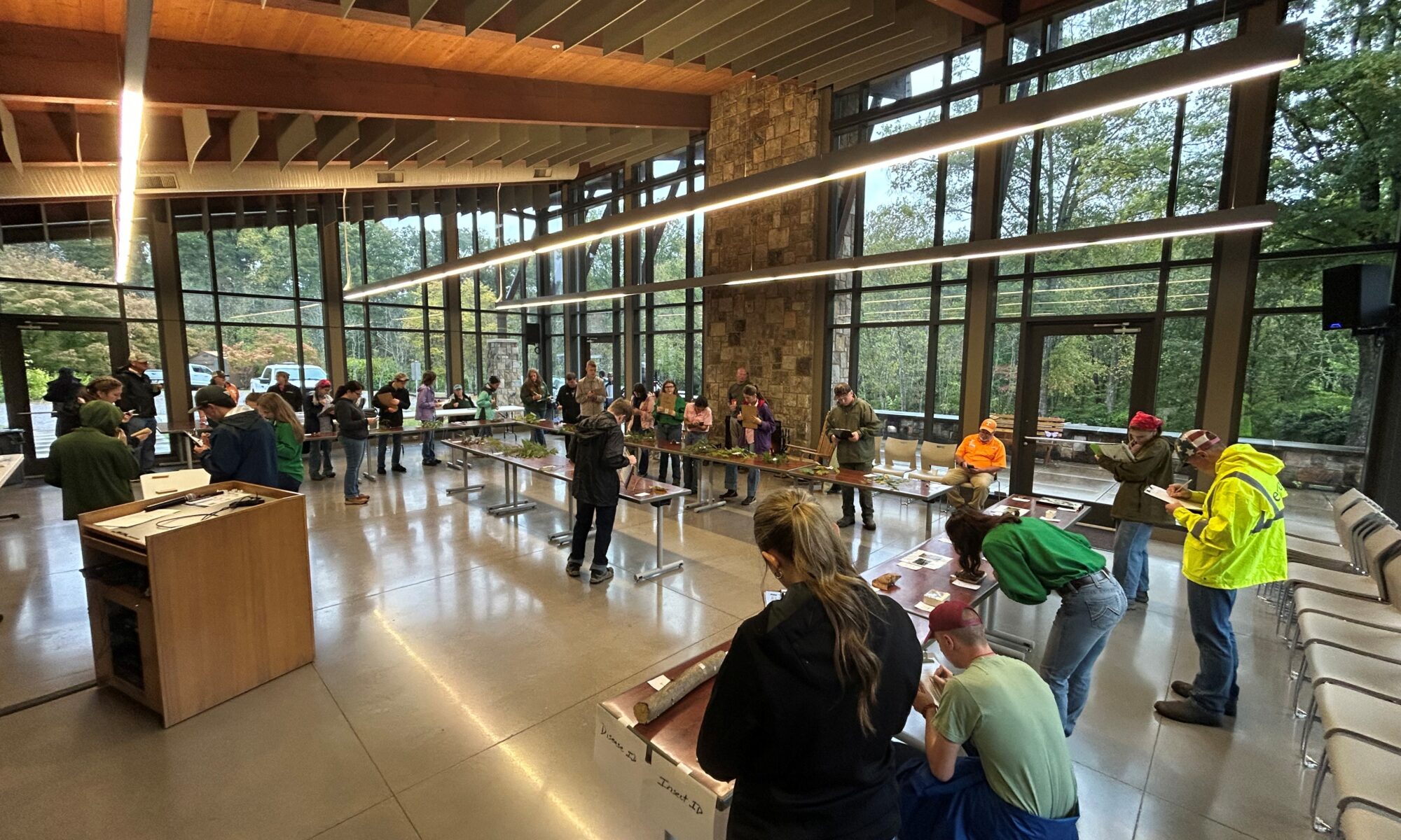 Several people hold clipboards and look at leaves on tables in the UT Arboretum Auditorium.