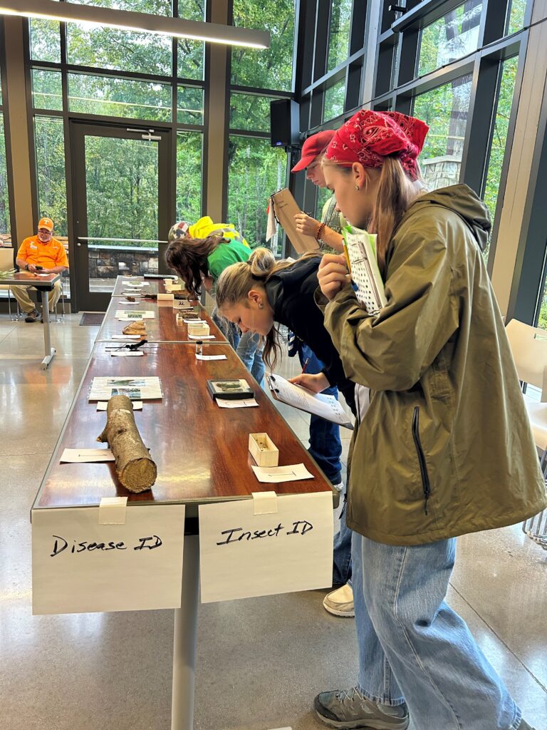 Several people hold clipboards and look at leaves on tables in the UT Arboretum Auditorium.